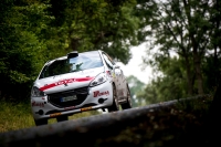 Dominik Bro - Petr Tnsk (Peugeot 208 R2) - Rally Bohemia 2019