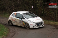 Adam Bezk - Karel Voltner (Peugeot 208 R2) - Ageus Rallysprint Kopn 2017