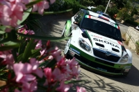 Jan Kopeck - Pavel Dresler, koda Fabia S2000 - Targa Florio 2012