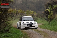 Henk Lategan - Barry White (koda Fabia S2000) - Waldviertel Rallye 2014