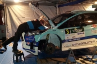 Roman Odloilk - Martin Tureek, Ford Fiesta R5 - Rally umava Klatovy 2014