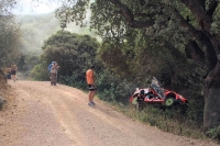 Martin Prokop - Jan Tomnek (Ford Fiesta RS WRC) - Rally Italia Sardegna 2017