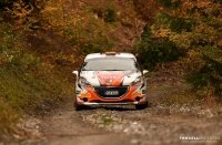 Ren Dohnal - Roman vec (Peugeot 208 R2) - Rallye du Valais 2019