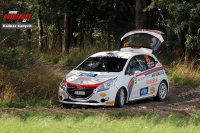 Marcel Svaina - Patrik Janeek (Peugeot 208 R2) - Rally Paejov 2017