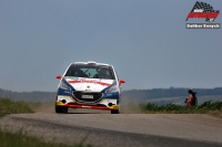 Filip Mare - Jan Hlouek (Peugeot 208 R2) - Agrotec Petronas Syntium Rally Hustopee 2017