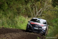 Jan ern - Pavel Kohout (Peugeot 208 R2) - Sata Rallye Acores 2014