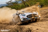 Jourdan Serderidis - Fred Miclotte (Ford Fiesta Rally1 Hybrid) - Safari Rally Kenya 2024