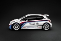 Peugeot 208 R5