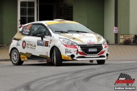 Jan Dvok - Ji Kalkus (Peugeot 208 R2) - Vank Rallysprint Kopn 2018