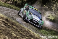 Yuriy Protasov - Pavlo Cherepin (Ford Fiesta RS WRC) - Rallye Deutschland 2014