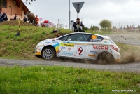 Vclav Dunovsk - Petr Glssl (Peugeot 208 R2) - Barum Czech Rally Zln 2014