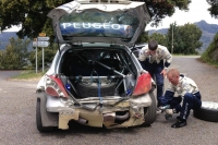 Craig Breene - Paul Nagle, Peugeot 207 S2000 - Tour de Corse 2013 (foto: fiaerc.com)