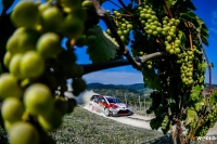 Ott Tnak - Martin Jrveoja (Toyota Yaris WRC) - ADAC Rallye Deutschland 2019