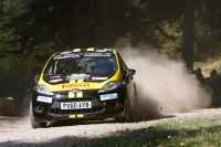 Jan ern - Pavel Kohout (Ford Fiesta R2) - Rallye de France 2011