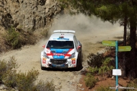 Bruno Magalhaes - Carlos Magalhaes (Peugeot 208 T16) - Rally Cyprus 2014