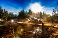 Sami Pajari - Marko Salminen (Toyota GR Yaris Rally1) - Rally Chile BioBo 2025