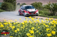 Roman Odloilk - Martin Tureek (Ford Fiesta R5) - Rally Vykov 2017