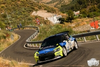 Sylvain Michel - Jerome Degout (koda Fabia R5) - Rally Islas Canarias 2017