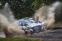 Petr Semer�d - Danny Persein (Ford Fiesta RS WRC) - Rally Vy�kov 2025