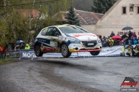 Filip Mare - Jan Hlouek (Peugeot 208 R2) - Rallye umava Klatovy 2017