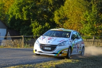 Vclav Dunovsk - Petr Glssl (Peugeot 208 R2) - Rally Klatovy 2015