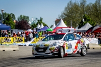 David Soldt - Tom Brek (Peugeot 208 R2) - Rallye esk Krumlov 2017