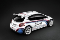 Peugeot 208 R5