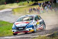 Filip Mare - Jan Hlouek, Peugeot 208 R2