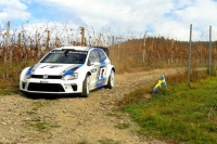 Volkswagen Polo R WRC ; © Ingo Brenner