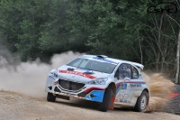 Siim Plangi - Marek Sarapuu (Peugeot 208 T16) - auto24 Rally Estonia 2014