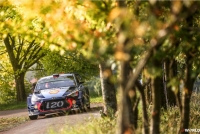 Thierry Neuville - Nicolas Gilsoul (Hyundai i20 Coupe WRC) - Rallye Deutschland 2017