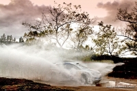 Sbastien Ogier - Julien Ingrassia (Volkswagen Polo R WRC) - Rally Argentina 2013