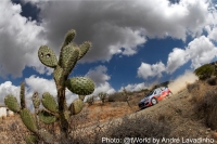 Chris Atkinson - Stphane Prvot (Hyundai i20 WRC) - Rally Guanajuato Mxico 2014