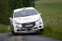 Jan ern - Pavel Kohout (Peugeot 208 R2) - Rallye esk Krumlov 2013