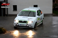 Ji Janeck - Milan Pokorn (koda Fabia) - Rallye umava Klatovy 2013