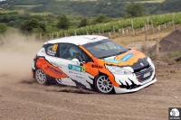 Michal Hork - Ivan Hork (Peugeot 208 R2) - Agrotec Petronas Syntium Rally Hustopee 2014