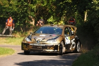 tpn Vojtch - Michal Ernst (Peugeot 206 WRC) - Rally Bohemia 2015