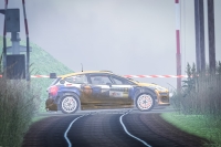Štěpán Paulát (Ford FIesta Rally2), 2. eSport Rallye Český Krumlov 2021