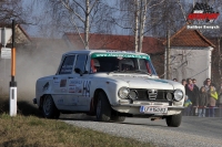 Norbert Tomaschek - Andreas Schmiedberger (Alfa Romeo Giulia) - Schneerosen Rallye 2014
