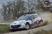 Pavel Valouek - Luk Kostka (Peugeot 207 S2000) - Rallye Waldviertel 2012