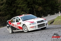 Matthias Kahle, koda Octavia WRC - Rally Luick hory 2011