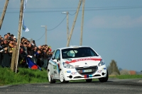 Tom Pospilk - Luk Vyoral (Peugeot 208 R2) - Rallye umava Klatovy 2015