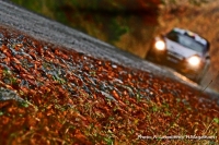 Thierrye Neuville - Nicolas Gilsoul (Ford Fiesta RS WRC) - Wales Rally GB 2013