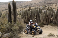 Rally Dakar 2013