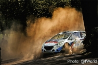 Kevin Abbring - Sebastian Marshall (Peugeot 208 T16) - Sata Rallye Acores 2015