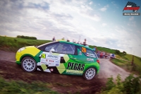 Egon Smkal - David meidler (Citron DS3 R3T) - Agrotec Mogul Rally Hustopee 2011