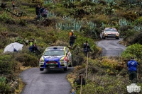 Tibor rdi a Dariusz Poloski - Rally Islas Canarias 2020