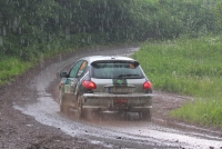 Jakub Voldich - David Zka (Peugeot 206 RC) - Rally Krkonoe 2013