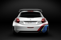 Peugeot 208 R5