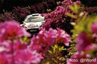 Vasily Gryazin - Dmitry Eremeev (Ford Fiesta S2000) - Sata Rallye Acores 2014